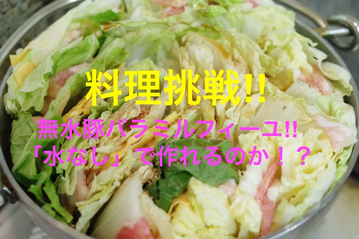 f:id:ninjalifegudaguda:20190622201033j:plain f:id:ninjalifegudaguda:20190622201033j:plain