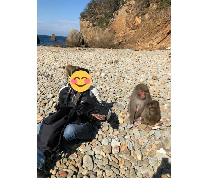 f:id:ninjalifegudaguda:20190719221622j:plain f:id:ninjalifegudaguda:20190719221622j:plain