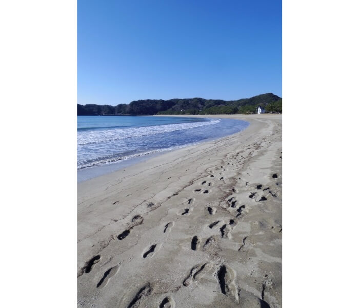 f:id:ninjalifegudaguda:20190719221634j:plain f:id:ninjalifegudaguda:20190719221634j:plain