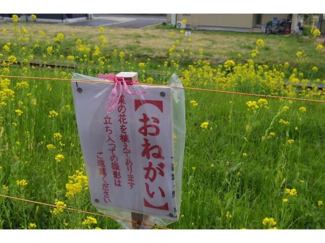 f:id:ninjalifegudaguda:20190720125638j:plain f:id:ninjalifegudaguda:20190720125638j:plain