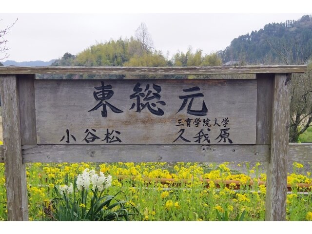 f:id:ninjalifegudaguda:20190720125644j:plain f:id:ninjalifegudaguda:20190720125644j:plain