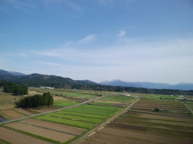 f:id:ninjalifegudaguda:20190720184442j:plain f:id:ninjalifegudaguda:20190720184442j:plain