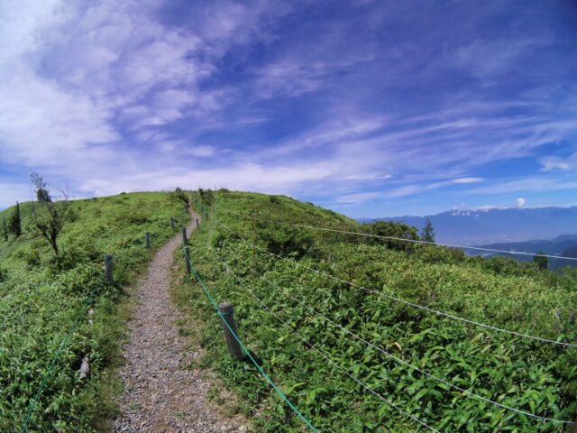 f:id:ninjalifegudaguda:20190728225411j:plain f:id:ninjalifegudaguda:20190728225411j:plain