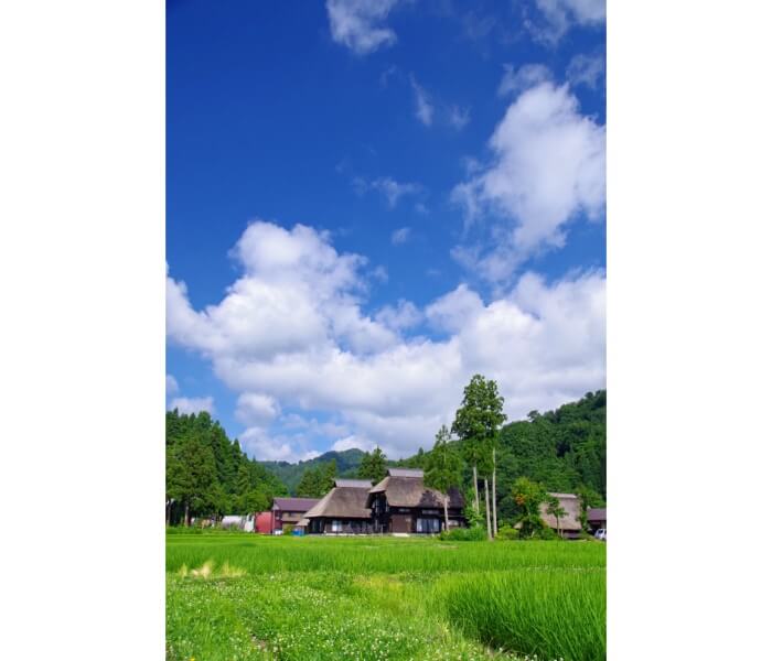 f:id:ninjalifegudaguda:20190730060152j:plain f:id:ninjalifegudaguda:20190730060152j:plain