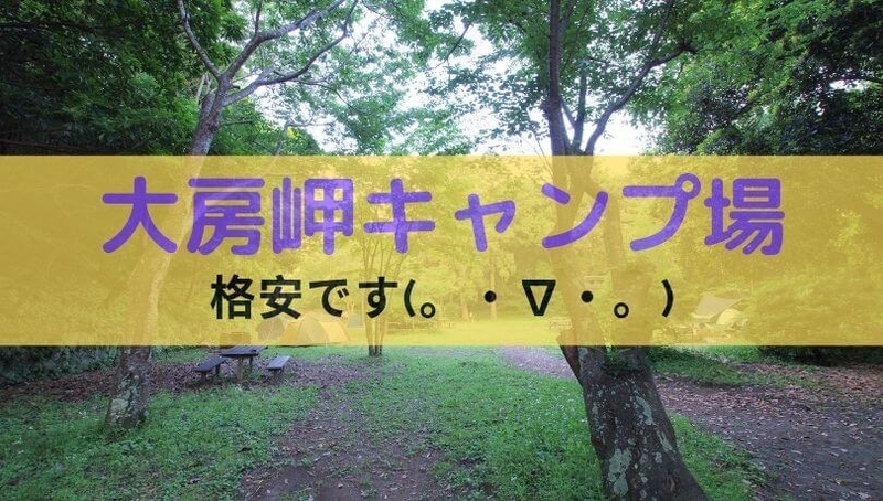 f:id:ninjalifegudaguda:20190806223503j:plain f:id:ninjalifegudaguda:20190806223503j:plain