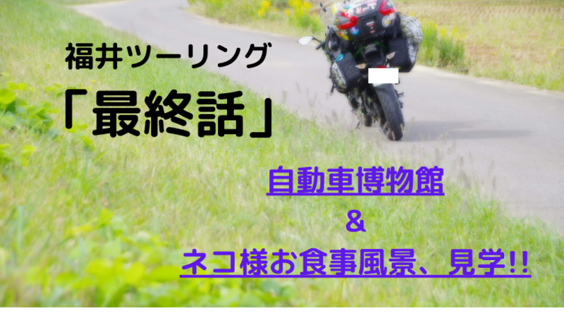 f:id:ninjalifegudaguda:20200328170044p:plain f:id:ninjalifegudaguda:20200328170044p:plain