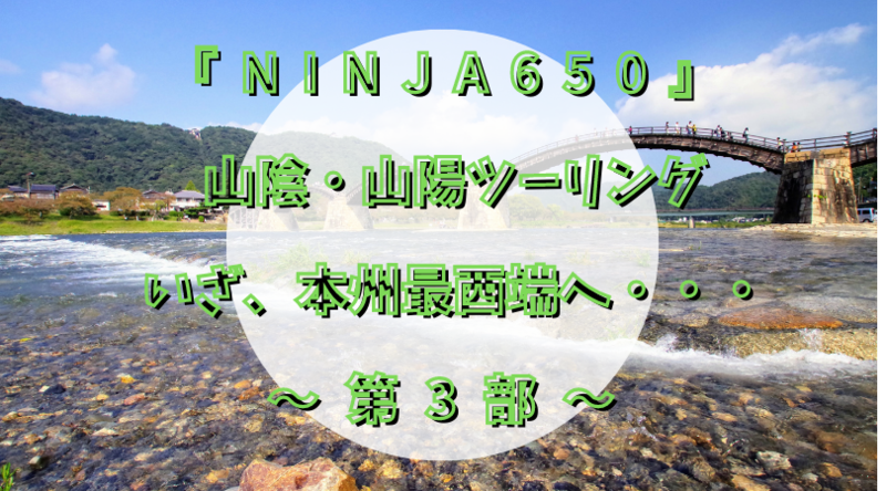 f:id:ninjalifegudaguda:20201202154130p:plain