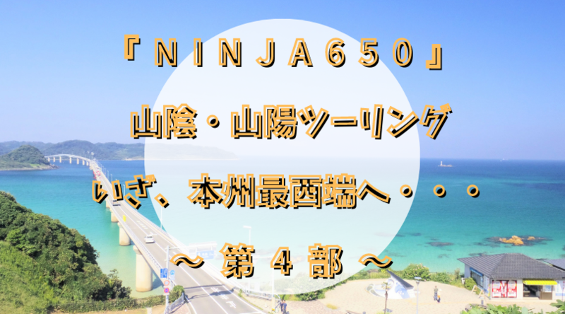 f:id:ninjalifegudaguda:20201204155352p:plain