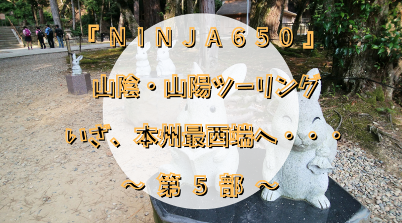 f:id:ninjalifegudaguda:20201207125509p:plain