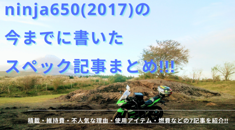 f:id:ninjalifegudaguda:20201212120332p:plain