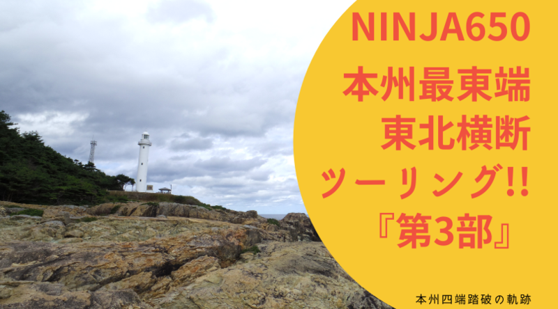 f:id:ninjalifegudaguda:20210105081502p:plain