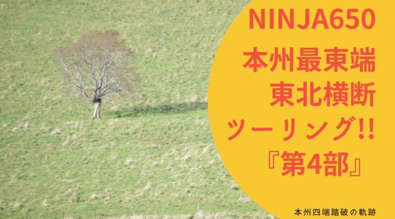 f:id:ninjalifegudaguda:20210108140932p:plain