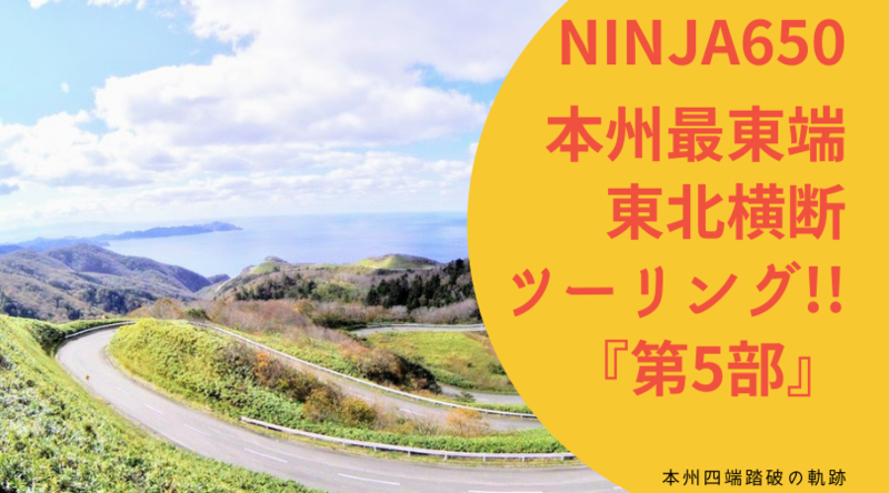 f:id:ninjalifegudaguda:20210110213947p:plain
