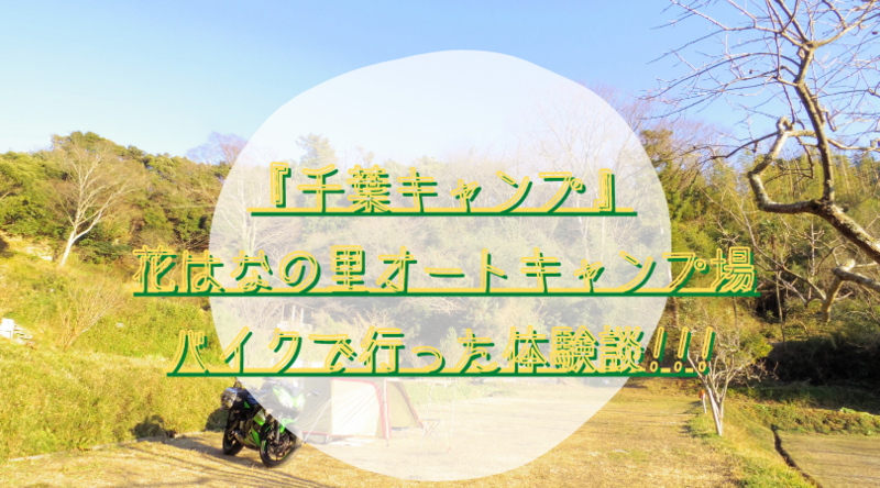 f:id:ninjalifegudaguda:20210120134417p:plain