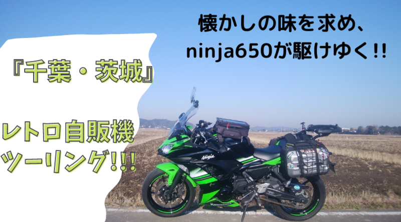 f:id:ninjalifegudaguda:20210129140224p:plain