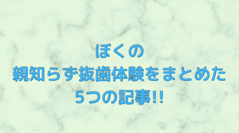 f:id:ninjalifegudaguda:20210205132155p:plain