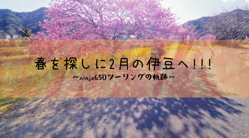 f:id:ninjalifegudaguda:20210215210054p:plain