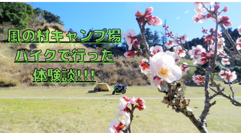 f:id:ninjalifegudaguda:20210223120937p:plain