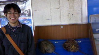 f:id:ninjicarrot:20100503121133j:image