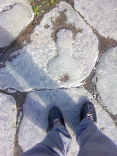f:id:ninjicarrot:20101016190642j:image