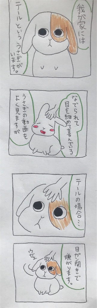 f:id:ninjin_ninjin:20181101082455j:image