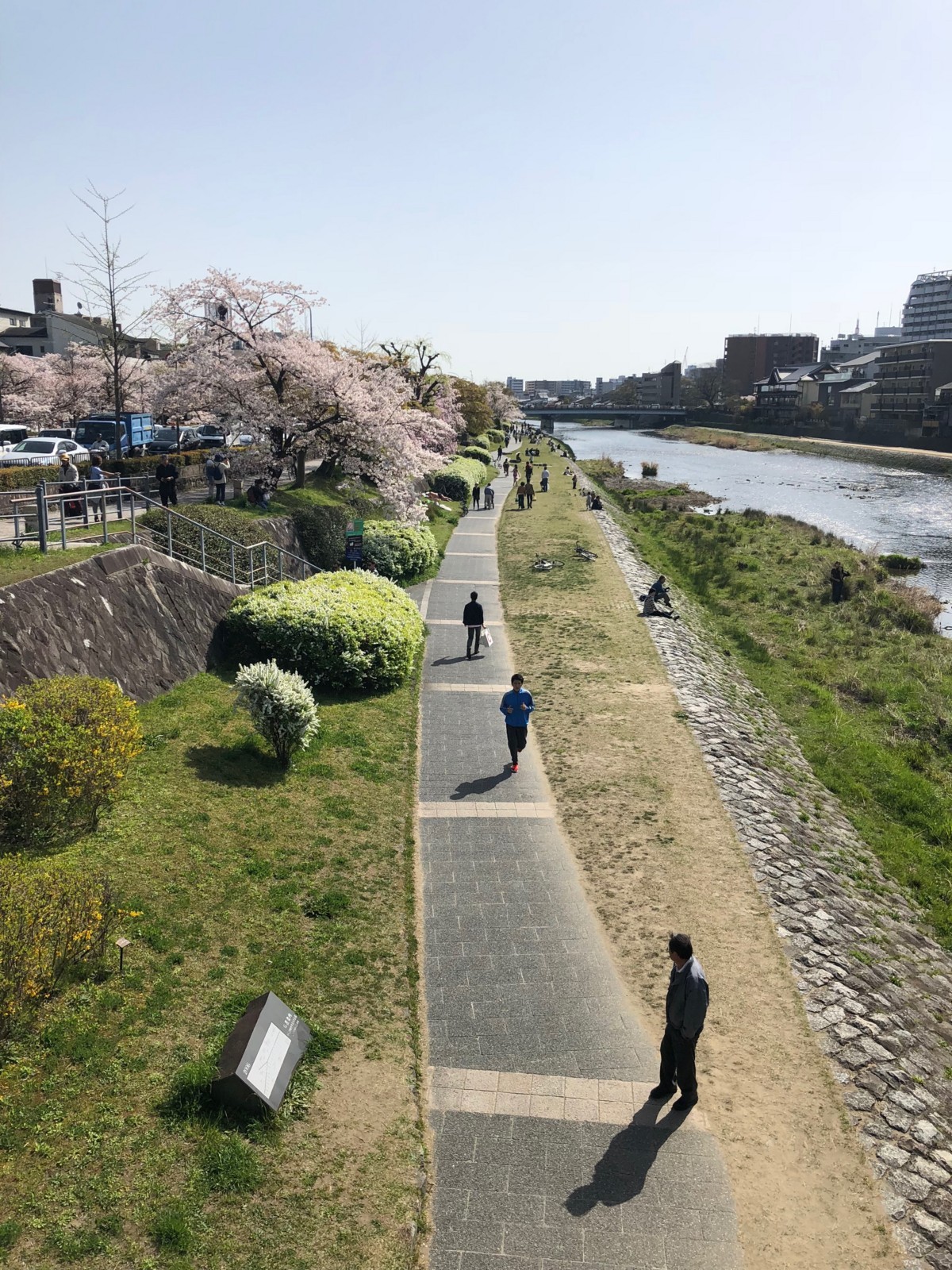 f:id:ninjinkun:20180331142428j:plain