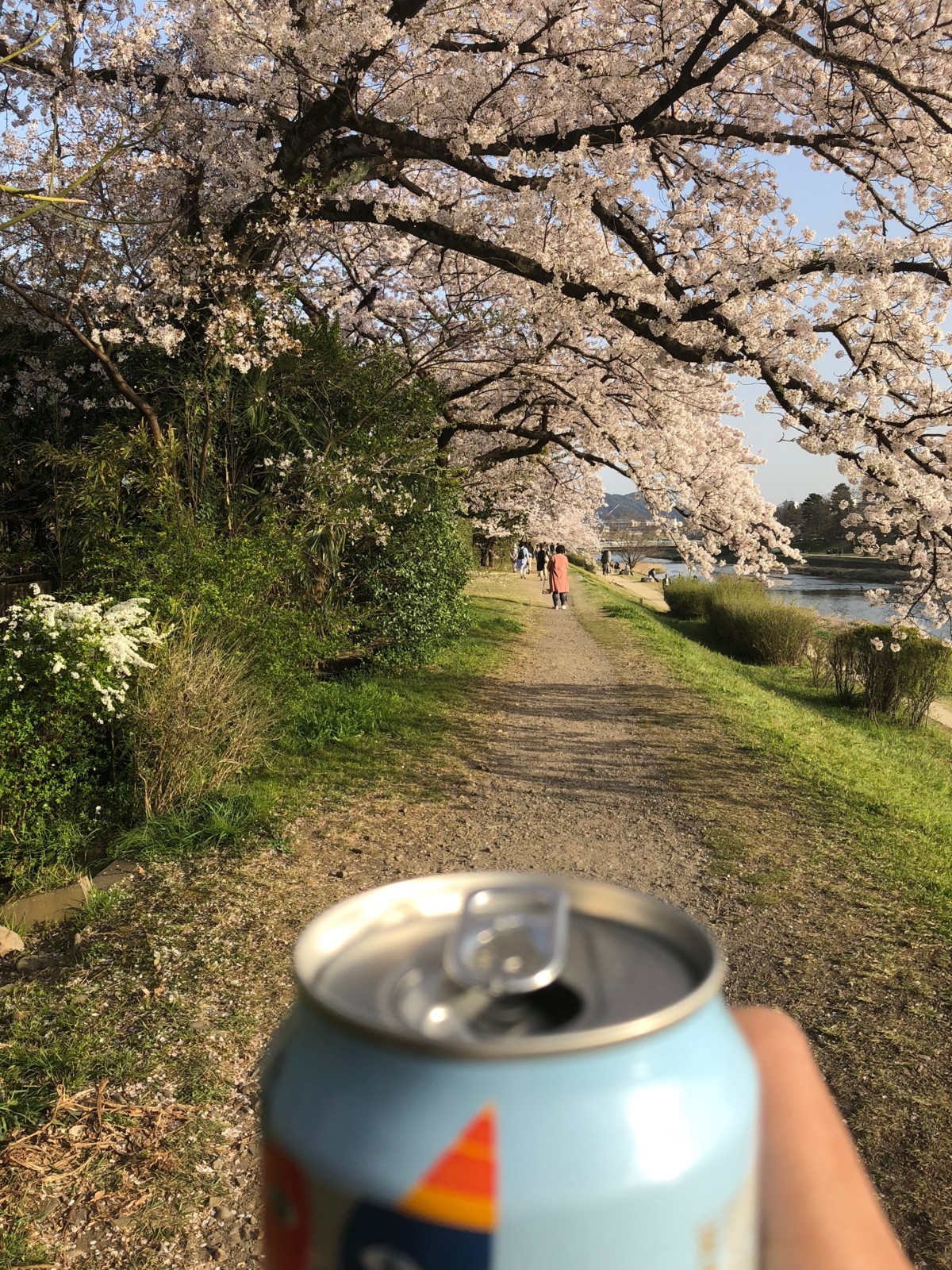 f:id:ninjinkun:20180331164845j:plain