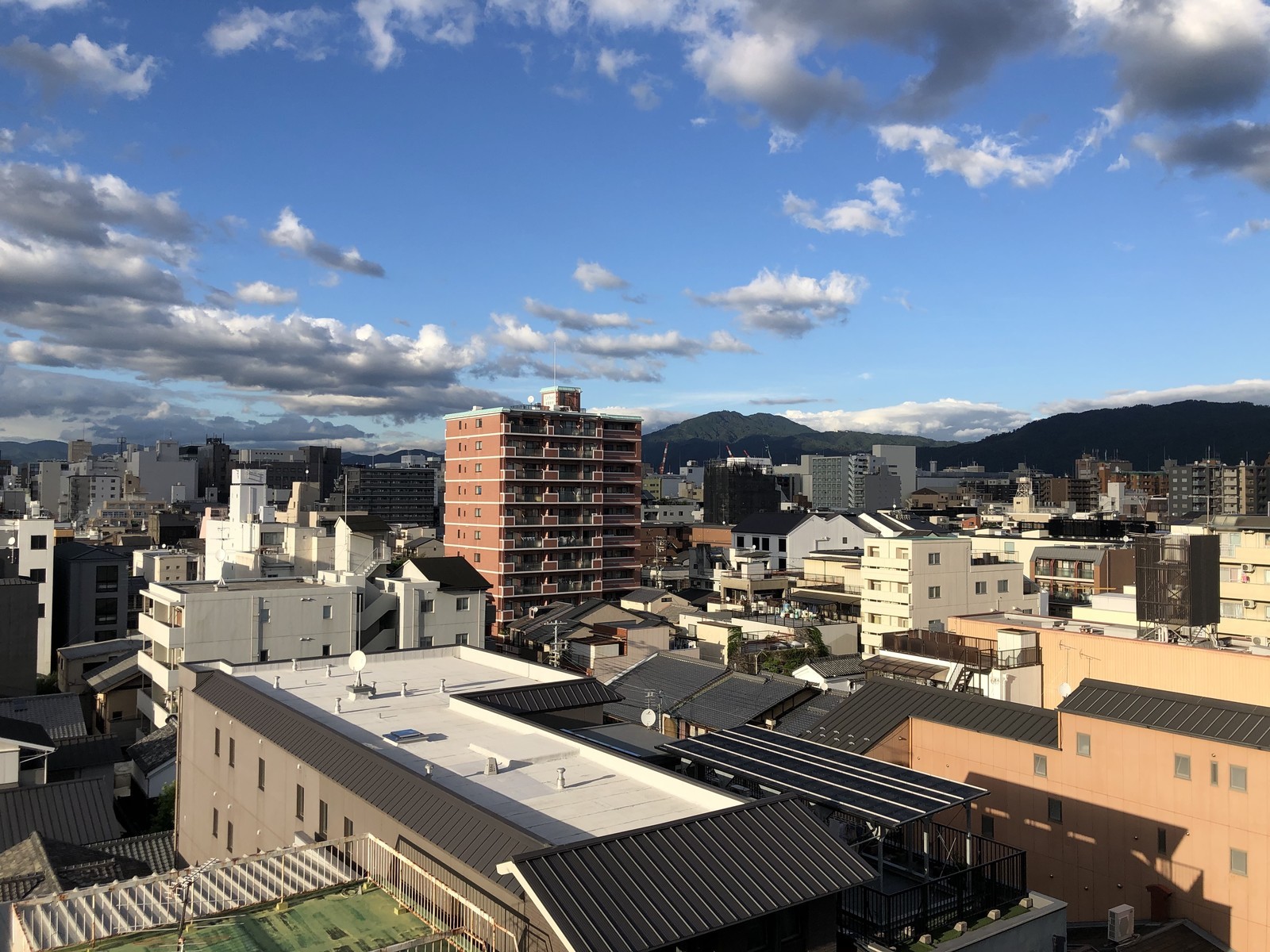 f:id:ninjinkun:20190923163240j:plain f:id:ninjinkun:20190923163240j:plain