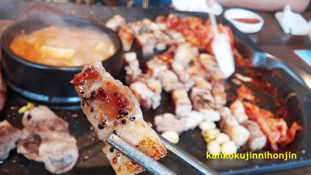 f:id:ninkatusuru:20161120151411j:plain f:id:ninkatusuru:20161120151411j:plain