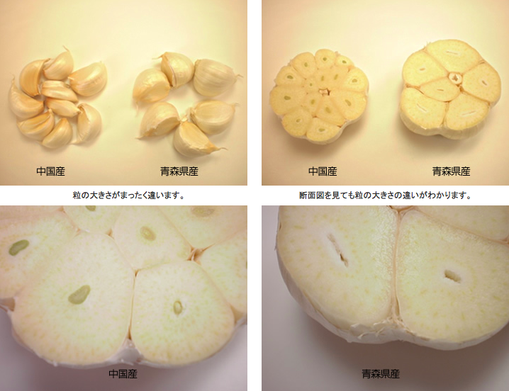 青森県産にんにくの特徴は 福地ホワイト種について調べてみました にんにくたろうのにんニク日記