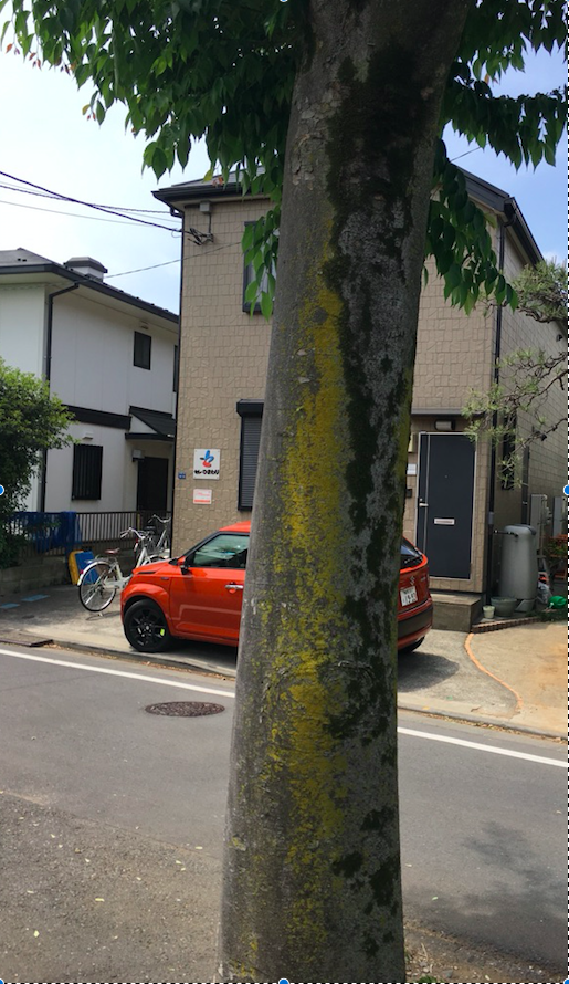f:id:ninnin007:20170508000111p:plain f:id:ninnin007:20170508000111p:plain