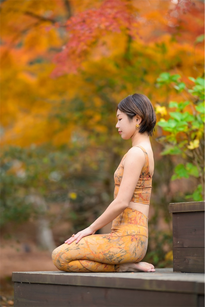 f:id:ninning:20241215150739j:image