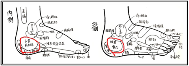 f:id:ninnkatsublog:20181001193615p:plain f:id:ninnkatsublog:20181001193615p:plain