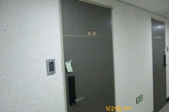 イメージ 7