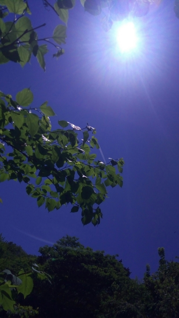 f:id:ninomaeituki:20180529195713j:plain f:id:ninomaeituki:20180529195713j:plain