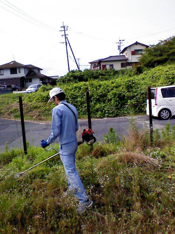f:id:ninonari:20140801012707j:image:w360