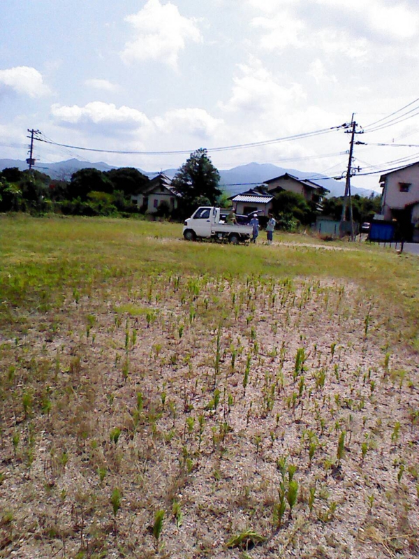 f:id:ninonari:20140801013147j:image:w360