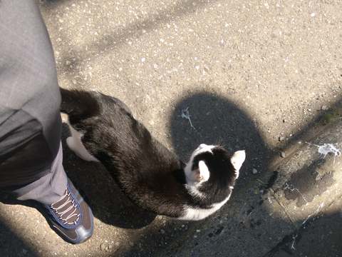 f:id:ninosan:20160729121741j:plain