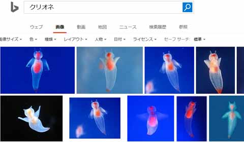 f:id:ninosan:20170122063307j:plain