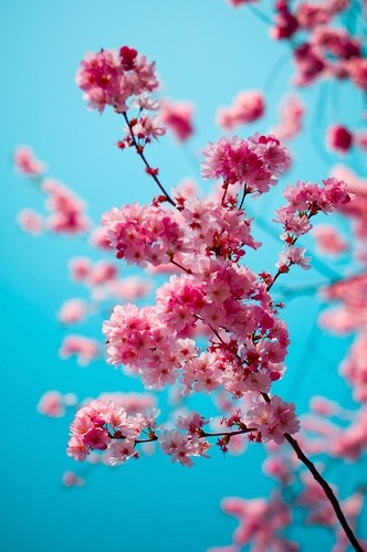 f:id:ninoseki:20110927211211j:image f:id:ninoseki:20110927211211j:image