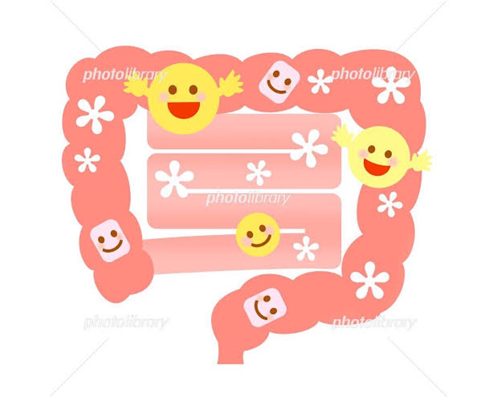 f:id:ninoudeyaseyo:20210620121429j:image f:id:ninoudeyaseyo:20210620121429j:image