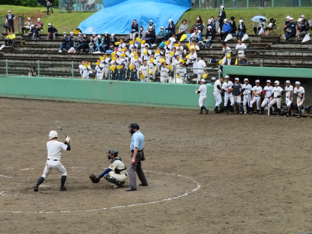 f:id:nintamam36:20200627195052j:image