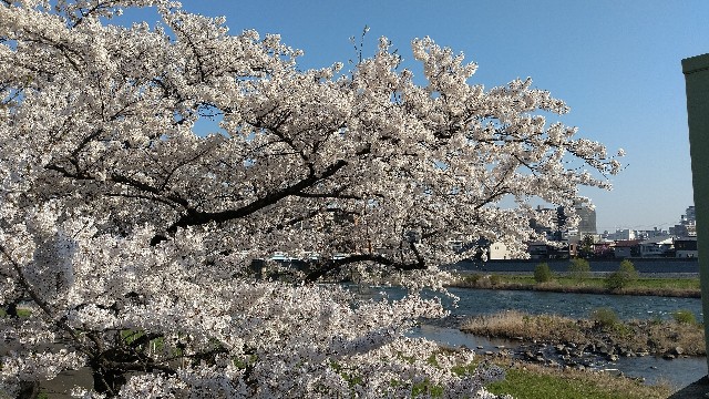 f:id:nintamam36:20250427124913j:image