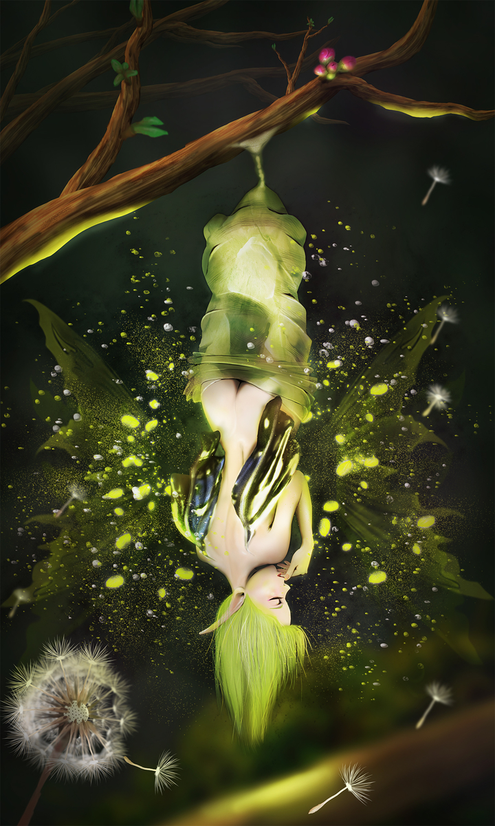 f:id:nipplelf:20190527063836j:plain