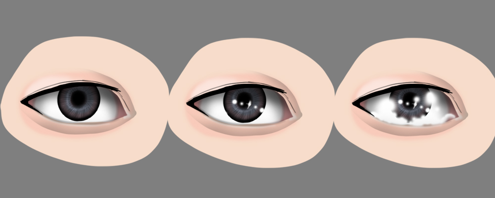 f:id:nipplelf:20190624235306j:plain f:id:nipplelf:20190624235306j:plain