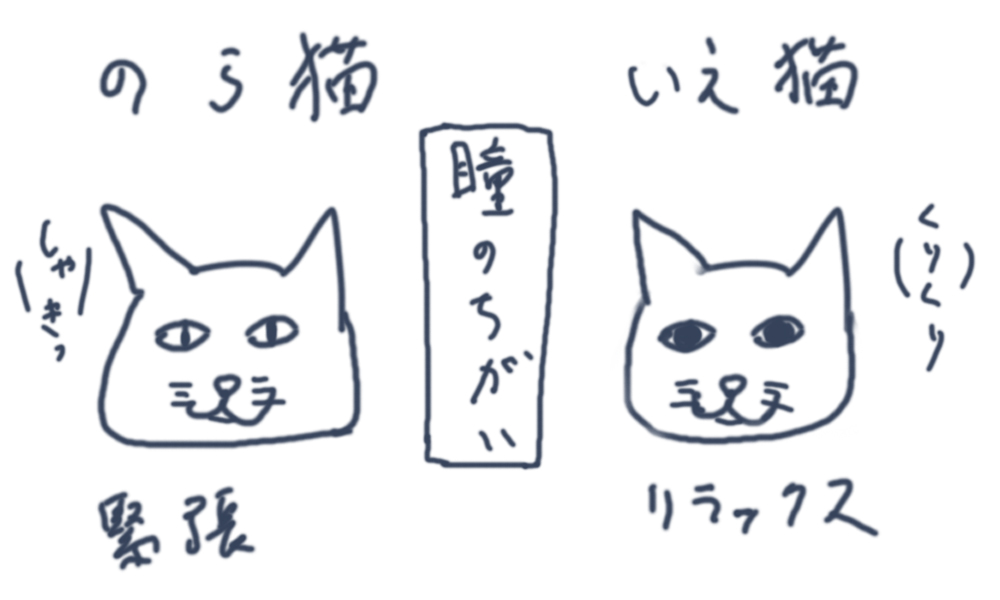 f:id:nipplelf:20210209182913j:plain