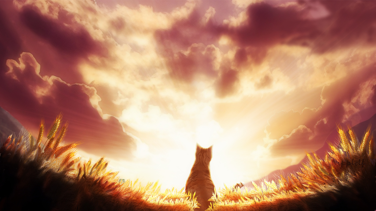 f:id:nipplelf:20210517183602j:plain