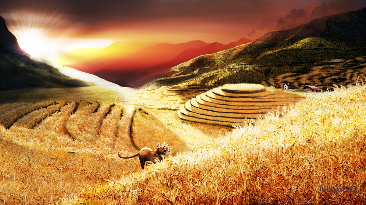 f:id:nipplelf:20210909115429j:plain