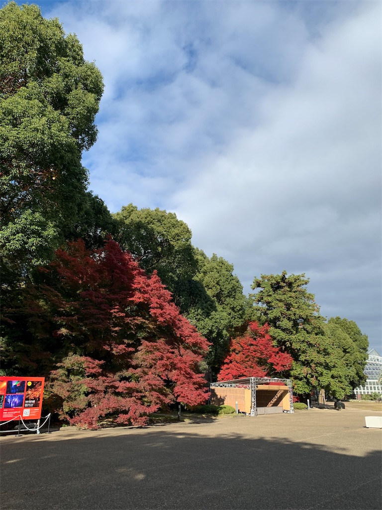 f:id:nippon-henro:20251129141442j:image