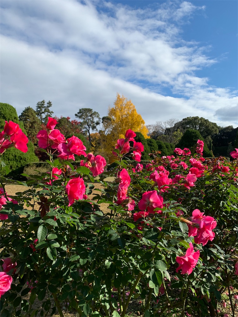 f:id:nippon-henro:20251129141500j:image